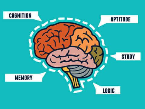 A photo showing key words related to whole brain thinking