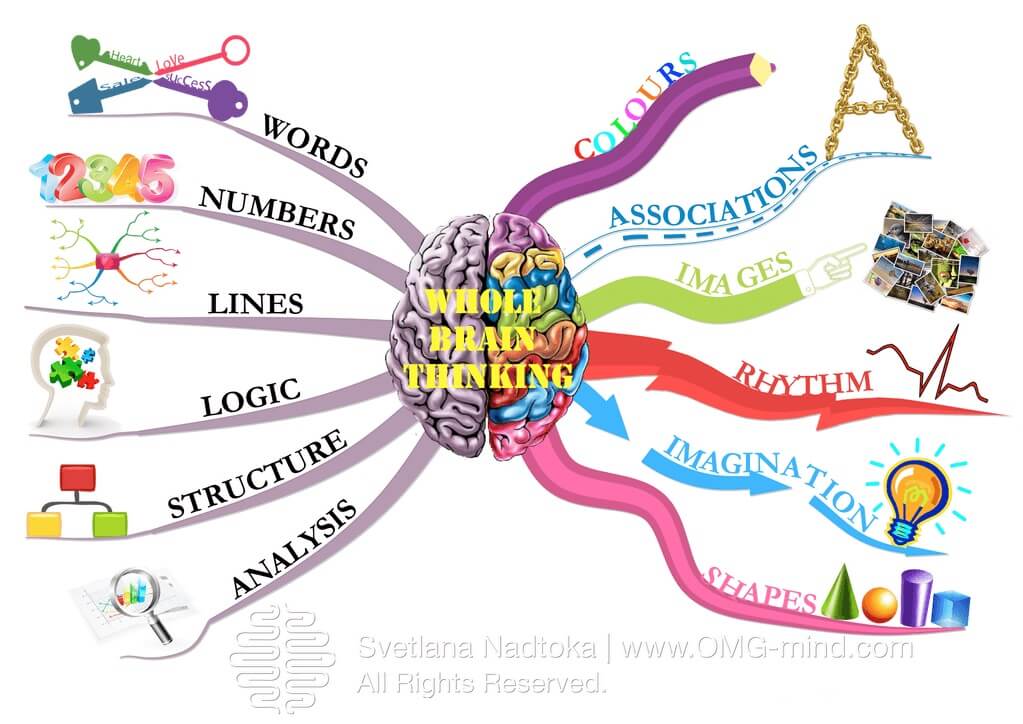 A photo of a mind map about whole brain thinking